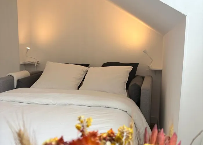 Le Coeur Des Alpes Appartement Grenoble