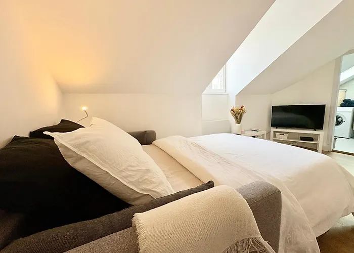 Le Coeur Des Alpes Appartement Grenoble